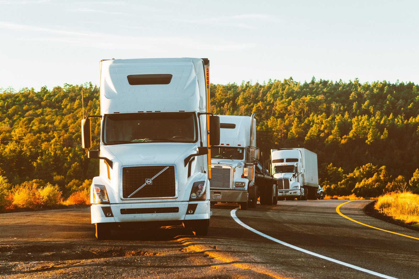 Read more about the article Best Car Transport Company Australia